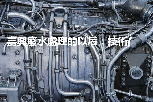 嘉興廢水處理的以后：技術(shù)創(chuàng)新與生態(tài)可持續(xù)？